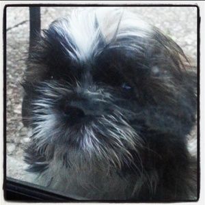 Meet your Posher, Sherry